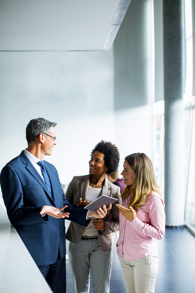 elcontax-tax-advisor-11